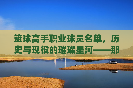 篮球高手职业球员名单，历史与现役的璀璨星河——那些定义时代的传奇与现役巨星，篮球高手职业球员名单，历史与现役的璀璨星河——那些定义时代的传奇与现役巨星