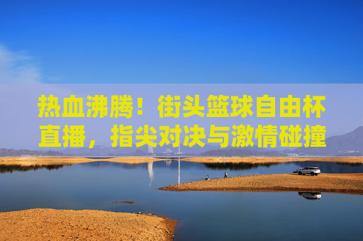 热血沸腾！街头篮球自由杯直播，指尖对决与激情碰撞的视觉盛宴，热血沸腾！街头篮球自由杯直播，指尖对决与激情碰撞的视觉盛宴