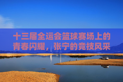 十三届全运会篮球赛场上的青春闪耀，张宁的竞技风采与运动传承，十三届全运会篮球赛场青春闪耀，张宁的竞技风采与运动传承