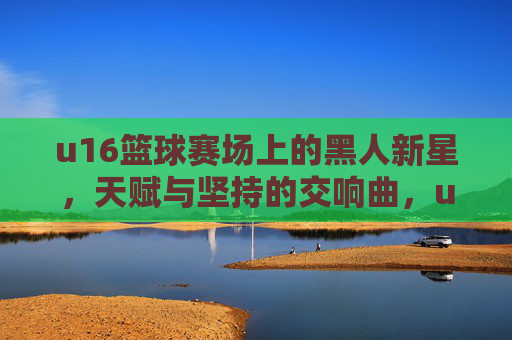 u16篮球赛场上的黑人新星，天赋与坚持的交响曲，u16篮球赛场上的黑人新星，天赋与坚持的交响曲