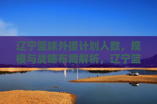 辽宁篮球外援计划人数，规模与战略布局解析，辽宁篮球外援计划，人数、规模与战略布局解析