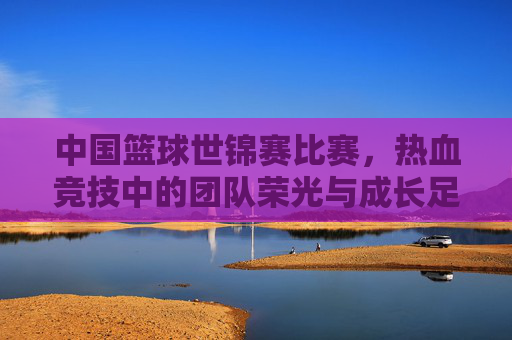 中国篮球世锦赛比赛，热血竞技中的团队荣光与成长足迹，中国篮球世锦赛，热血竞技中的团队荣光与成长足迹