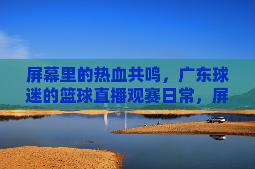 屏幕里的热血共鸣，广东球迷的篮球直播观赛日常，屏幕里的热血共鸣，广东球迷的篮球直播观赛日常