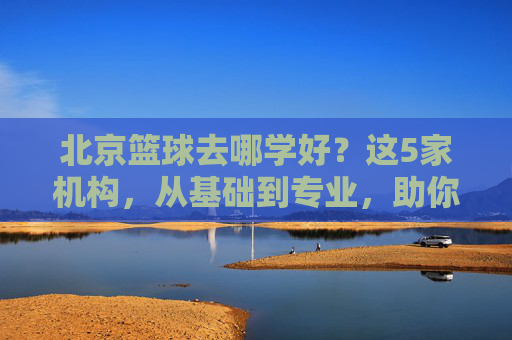 北京篮球去哪学好?这5家机构,从基础到专业,助你提升球技(附选择指南)北京篮球去哪学好?这5家机构,从基础到专业,助你提升球技(附选择指南)