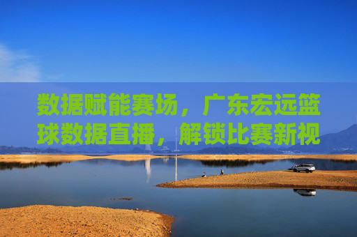 数据赋能赛场，广东宏远篮球数据直播，解锁比赛新视角，数据赋能赛场，广东宏远篮球数据直播，解锁比赛新视角