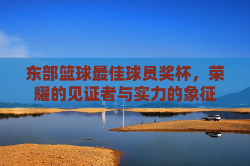 东部篮球最佳球员奖杯，荣耀的见证者与实力的象征