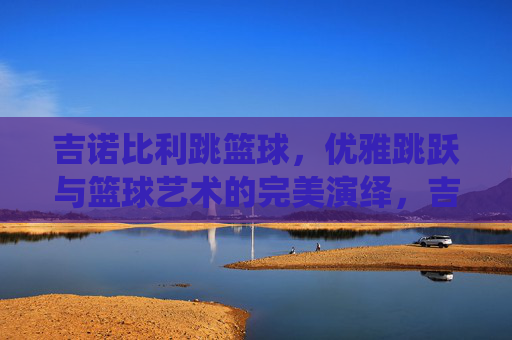 吉诺比利跳篮球,优雅跳跃与篮球艺术的完美演绎,吉诺比利跳篮球,优雅跳跃与篮球艺术的完美演绎