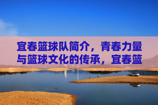 宜春篮球队简介，青春力量与篮球文化的传承，宜春篮球队简介，青春力量与篮球文化的传承