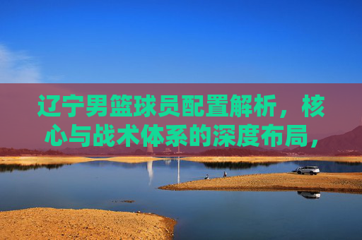 辽宁男篮球员配置解析,核心与战术体系的深度布局,辽宁男篮球员配置解析,核心与战术体系的深度布局