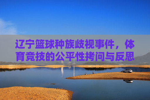 辽宁篮球种族歧视事件,体育竞技的公平性拷问与反思,辽宁篮球种族歧视事件,体育竞技公平性的拷问与反思