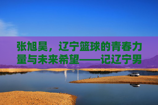 张旭昊，辽宁篮球的青春力量与未来希望——记辽宁男篮新生代球员的成长轨迹，张旭昊，辽宁篮球的青春力量与未来希望——记辽宁男篮新生代球员的成长轨迹