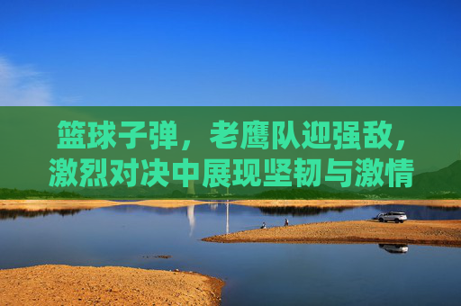 篮球子弹,老鹰队迎强敌,激烈对决中展现坚韧与激情,老鹰队迎战强敌,激烈对决中展现篮球的坚韧与激情