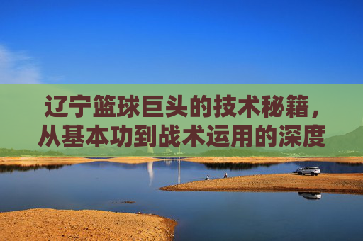 辽宁篮球巨头的技术秘籍,从基本功到战术运用的深度解析,辽宁篮球巨头的技术秘籍,从基本功到战术运用的深度解析