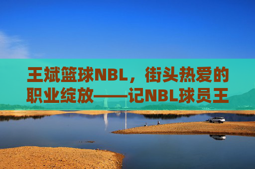王斌篮球NBL,街头热爱的职业绽放——记NBL球员王斌的篮球征途,王斌篮球NBL,街头热爱的职业绽放——记NBL球员的篮球征途