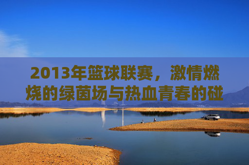 2013年篮球联赛,激情燃烧的绿茵场与热血青春的碰撞,2013篮球联赛,绿茵燃情,青春热血碰撞