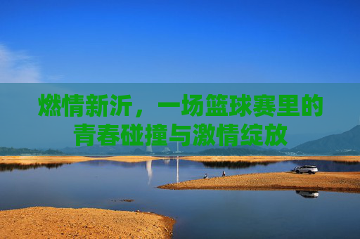 燃情新沂，一场篮球赛里的青春碰撞与激情绽放