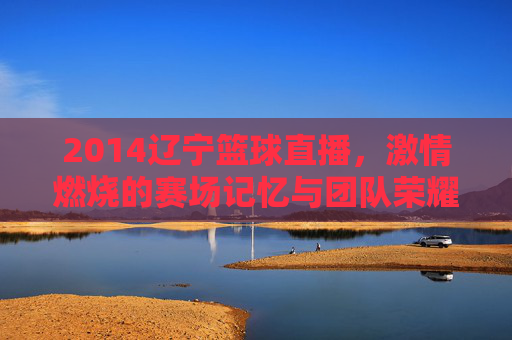 2014辽宁篮球直播,激情燃烧的赛场记忆与团队荣耀的见证