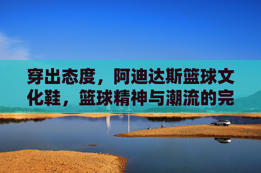 穿出态度,阿迪达斯篮球文化鞋,篮球精神与潮流的完美融合,穿出态度,阿迪达斯篮球文化鞋,篮球精神与潮流的完美融合