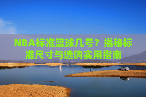 NBA标准篮球几号？揭秘标准尺寸与选购实用指南