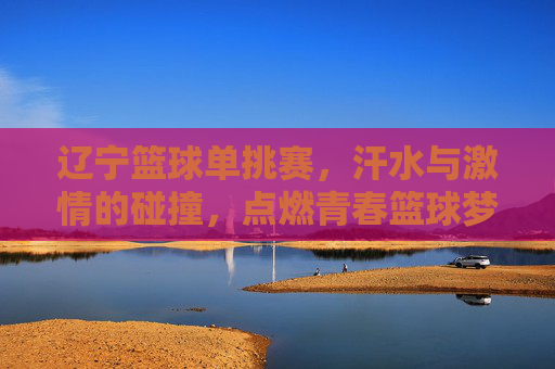 辽宁篮球单挑赛，汗水与激情的碰撞，点燃青春篮球梦