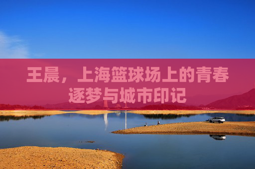 王晨，上海篮球场上的青春逐梦与城市印记