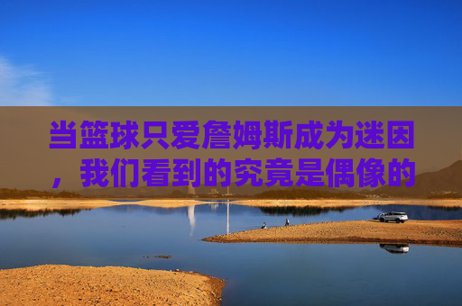 当篮球只爱詹姆斯成为迷因，我们看到的究竟是偶像的荣光，还是时代的滤镜？当篮球只爱詹姆斯成为迷因，我们看到的究竟是偶像的荣光，还是时代的滤镜？