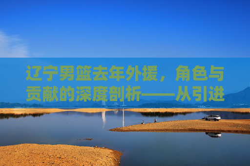 辽宁男篮去年外援,角色与贡献的深度剖析——从引进到融入的团队故事