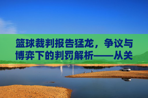 篮球裁判报告猛龙,争议与博弈下的判罚解析——从关键判罚看球队战术与球员表现,篮球裁判报告猛龙,争议与博弈下的判罚解析——从关键判罚看球队战术与球员表现
