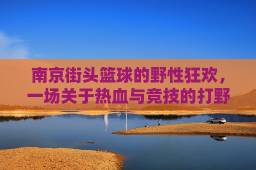 南京街头篮球的野性狂欢,一场关于热血与竞技的打野对决