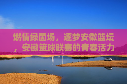 燃情绿茵场,逐梦安徽篮坛,安徽篮球联赛的青春活力与竞技魅力,燃情绿茵场,逐梦安徽篮坛,青春活力与竞技魅力