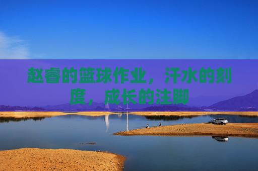 赵睿的篮球作业,汗水的刻度,成长的注脚