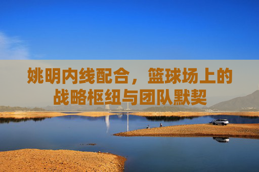 姚明内线配合,篮球场上的战略枢纽与团队默契