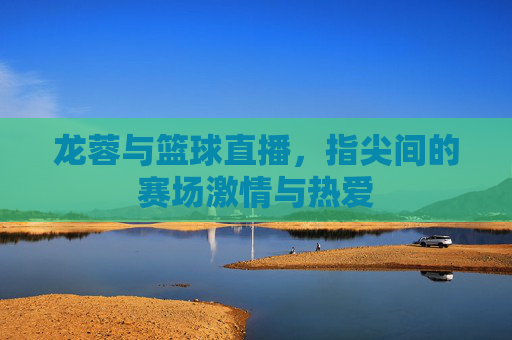 龙蓉与篮球直播,指尖间的赛场激情与热爱