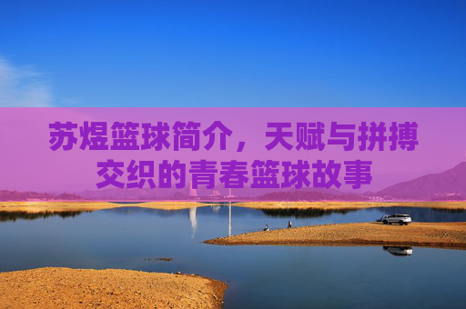 苏煜篮球简介,天赋与拼搏交织的青春篮球故事