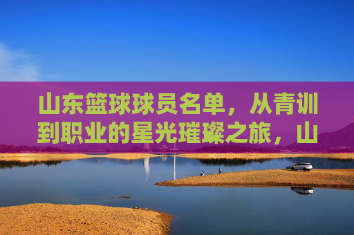 山东篮球球员名单，从青训到职业的星光璀璨之旅，山东篮球球员名单，从青训到职业的星光璀璨之旅