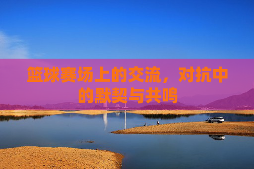 篮球赛场上的交流,对抗中的默契与共鸣