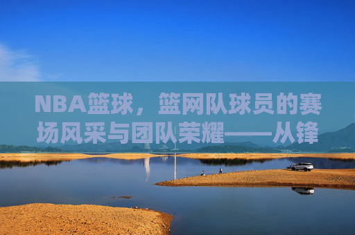 NBA篮球,篮网队球员的赛场风采与团队荣耀——从锋线尖刀到内线支柱的竞技故事,NBA篮球,篮网队球员的赛场风采与团队荣耀——从锋线尖刀到内线支柱的竞技故事