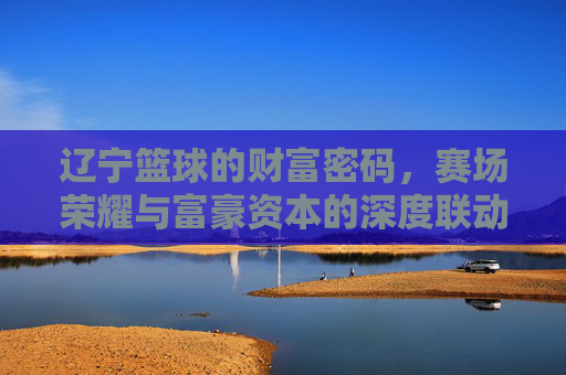 辽宁篮球的财富密码,赛场荣耀与富豪资本的深度联动,辽宁篮球的财富密码,赛场荣耀与富豪资本的深度联动