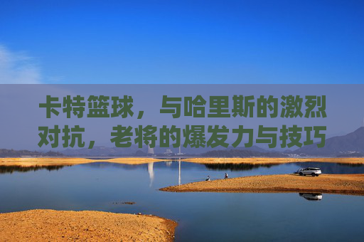 卡特篮球,与哈里斯的激烈对抗,老将的爆发力与技巧的完美碰撞,卡特与哈里斯激烈对抗,老将爆发力与技巧的完美碰撞