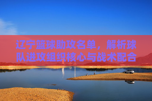 辽宁篮球助攻名单,解析球队进攻组织核心与战术配合,辽宁男篮助攻榜解析,进攻组织核心与战术配合揭秘