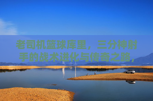 老司机篮球库里,三分神射手的战术进化与传奇之路,老司机篮球库里,三分神射手的战术进化与传奇之路