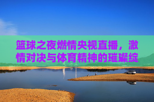 篮球之夜燃情央视直播，激情对决与体育精神的璀璨绽放，篮球之夜燃情央视直播，激情对决与体育精神的璀璨绽放