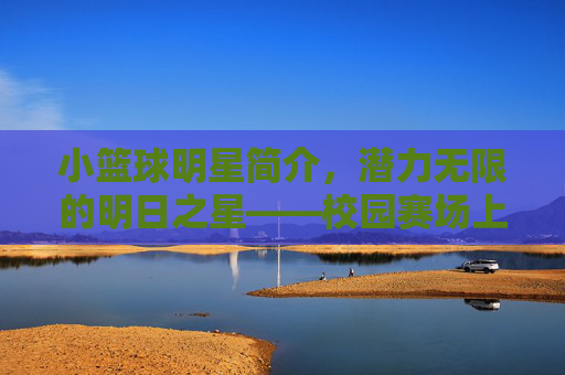 小篮球明星简介,潜力无限的明日之星——校园赛场上的小小传奇,小篮球明星简介,潜力无限的明日之星——校园赛场上的小小传奇
