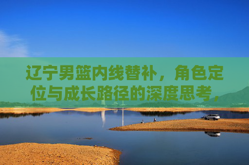 辽宁男篮内线替补,角色定位与成长路径的深度思考,辽宁男篮内线替补,角色定位与成长路径的深度思考