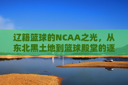 辽籍篮球的NCAA之光,从东北黑土地到篮球殿堂的逐梦之旅,辽籍篮球的NCAA之光,从东北黑土地到篮球殿堂的逐梦之旅