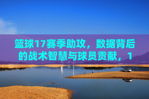 篮球17赛季助攻，数据背后的战术智慧与球员贡献，17赛季篮球助攻数据，战术智慧与球员贡献的深度解析