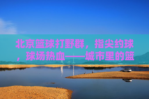 北京篮球打野群，指尖约球，球场热血——城市里的篮球狂欢场，北京篮球打野群，指尖约球，球场热血——城市里的篮球狂欢场