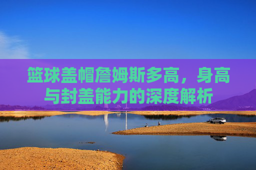 篮球盖帽詹姆斯多高,身高与封盖能力的深度解析