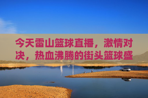 今天雷山篮球直播，激情对决，热血沸腾的街头篮球盛宴——雷山球员的精彩演绎与直播平台的魅力