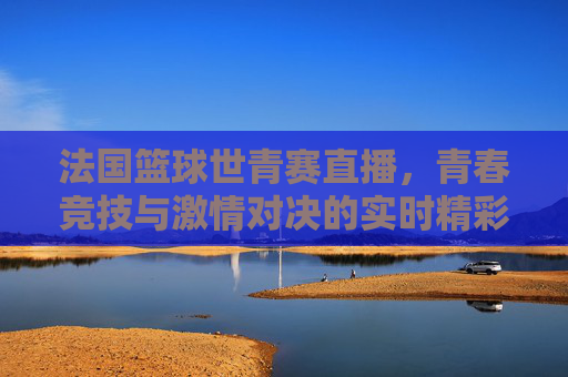 法国篮球世青赛直播,青春竞技与激情对决的实时精彩